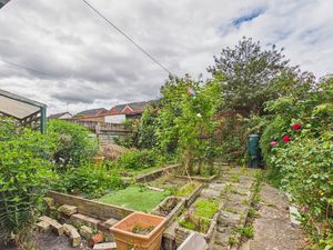Garden- click for photo gallery